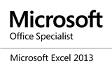 specialist_excel_2013